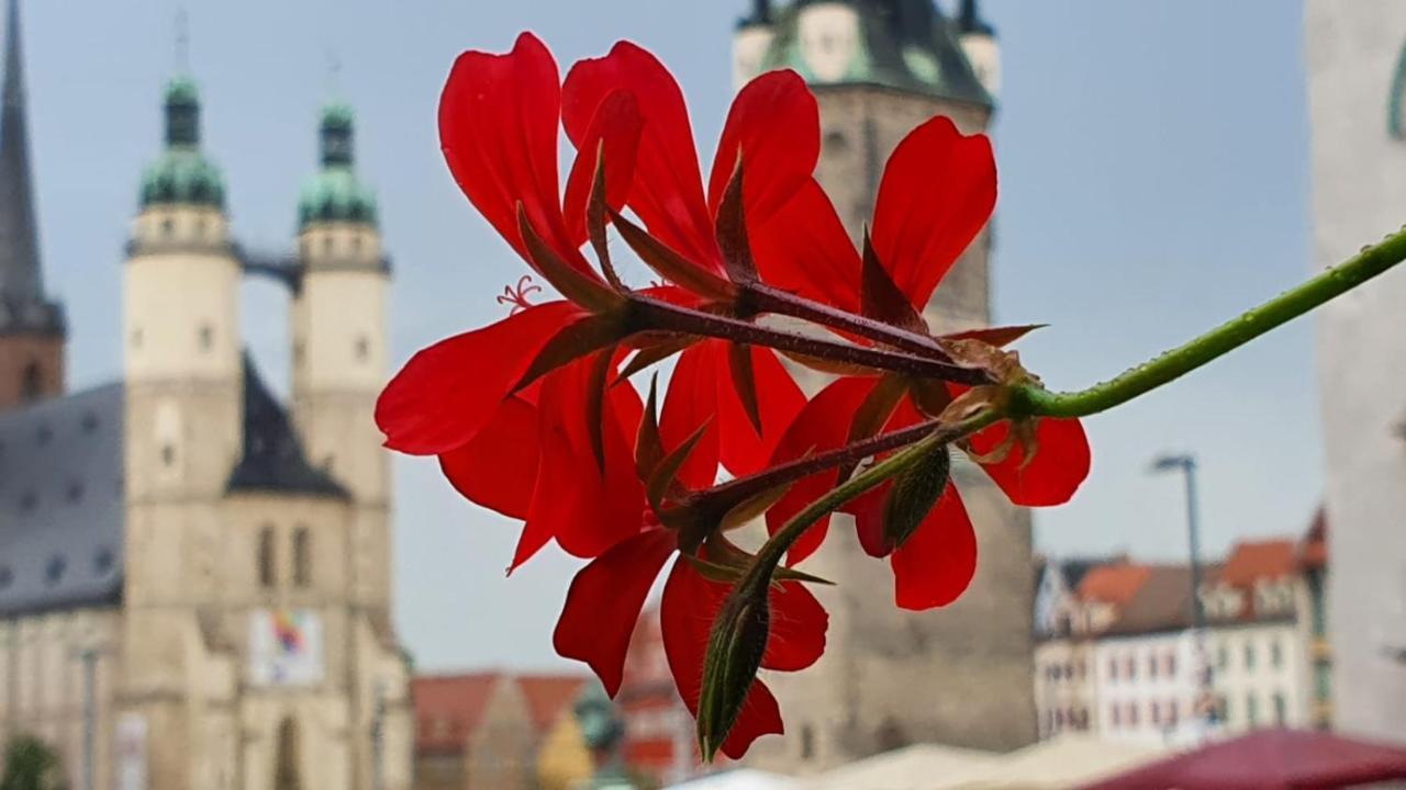Budget In Halle With Shared Bathroom, Free Wifi, Netflix & Ipad
